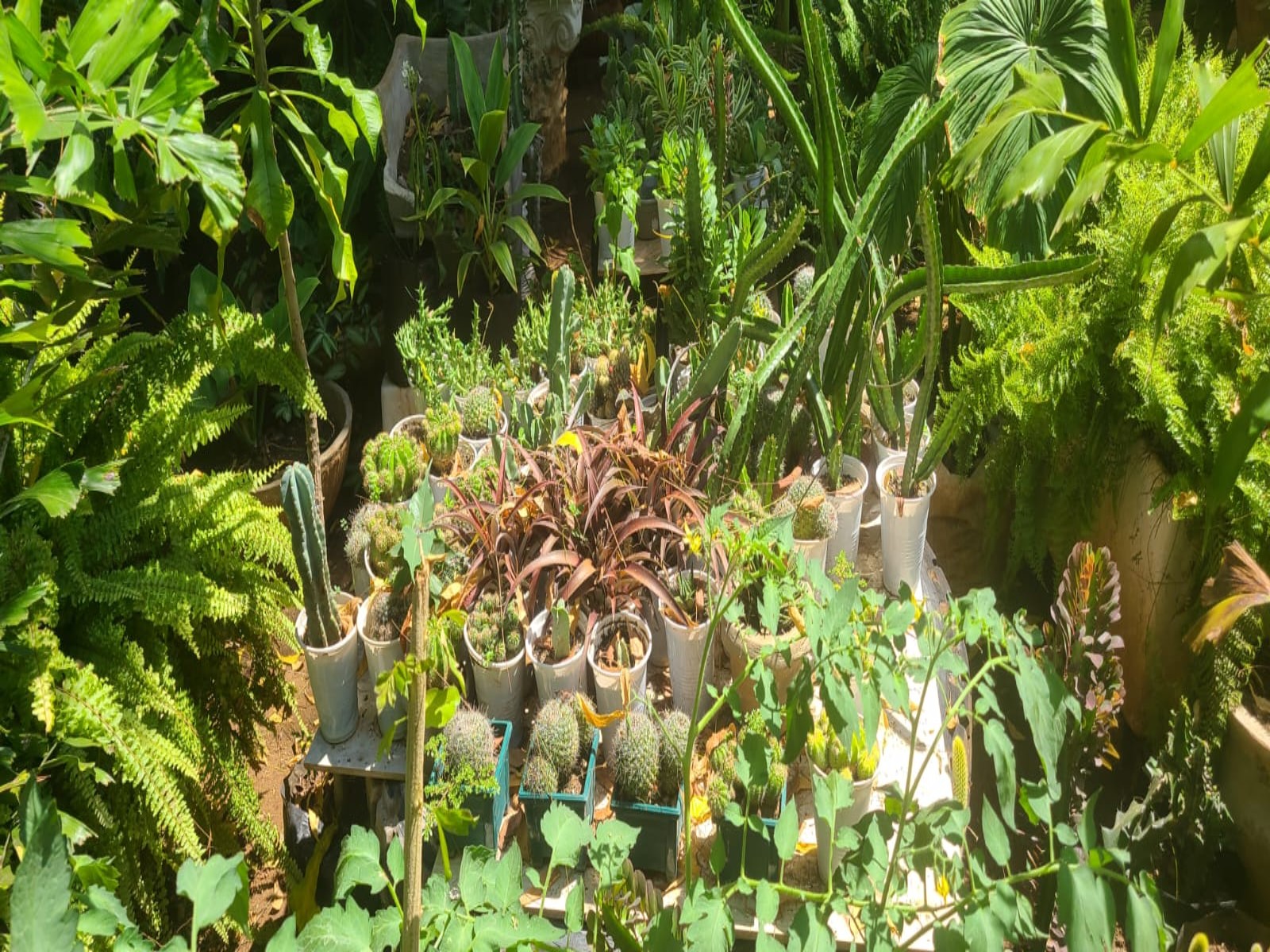 Environmental education and awareness