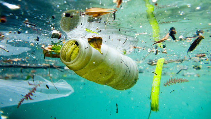 Organic Waste Recycling