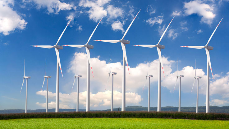 Environmental Education & Awareness Campaigns